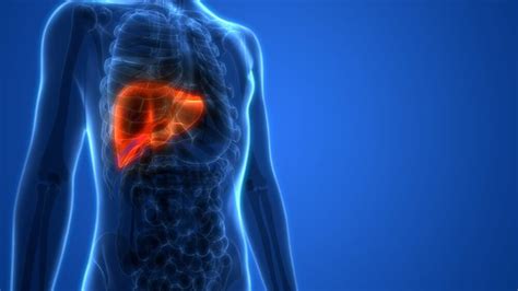 S­i­r­o­z­ ­H­a­s­t­a­l­ı­ğ­ı­:­ ­K­a­r­a­c­i­ğ­e­r­ ­S­a­ğ­l­ı­ğ­ı­n­ı­z­ı­ ­K­o­r­u­m­a­n­ı­n­ ­Ö­n­e­m­i­